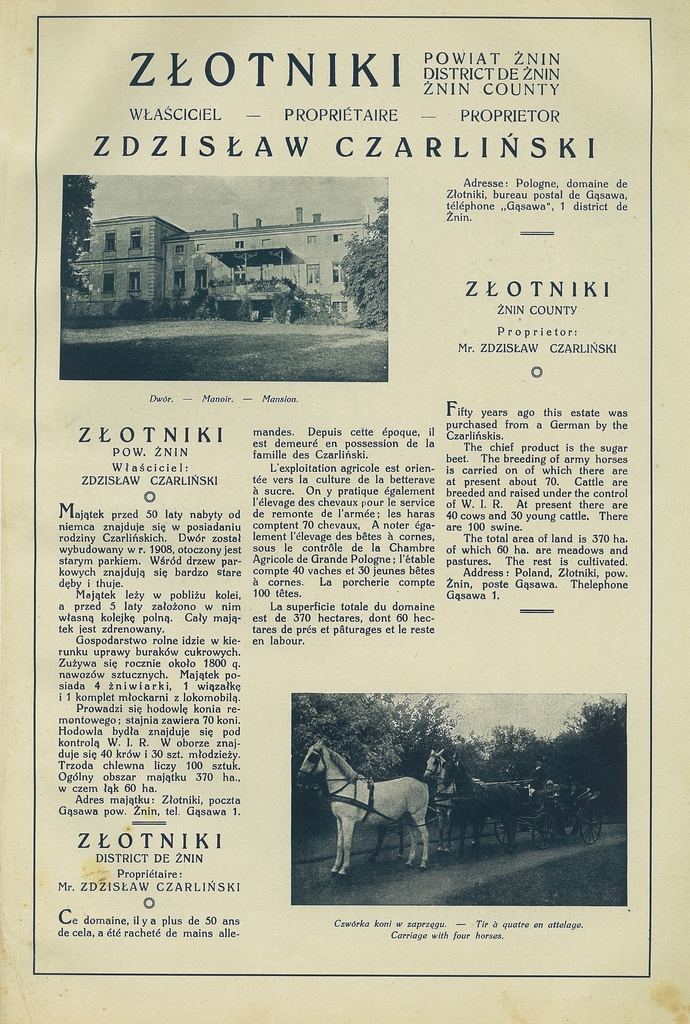 221 zlotniki.jpg